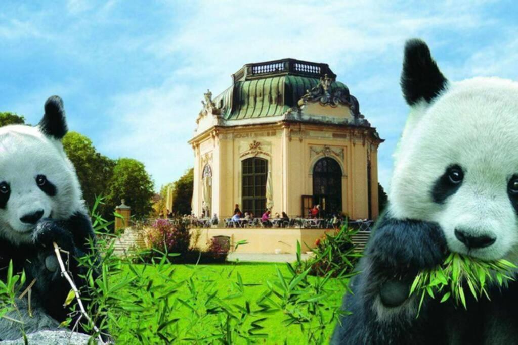 Apartment Zwischen Schönbrunn Und Dem Center. Apt. 34 *